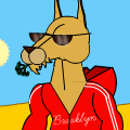 Kangaroo Jack