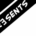 Generistrip 16