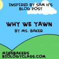 We We Yawn