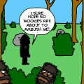 Wookie Here