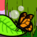 "a butterfly"