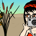 pictures for facebook