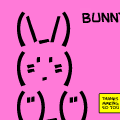BUNNY!!!!!!!!!!!!!!!!!!!!!!!!!