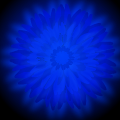 Out of the Blue