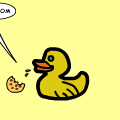 TotD: Ducks