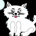 cat night