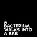 ...walks into a bar