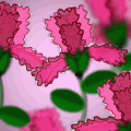 'Pink flowers'
