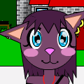 My cat
