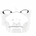 The Face