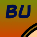 Buddy: Phases