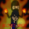 Secret Ninja