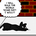 A Cats World