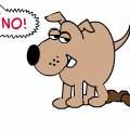 TotD: No