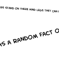 Random Fact Of The Day