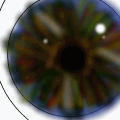 Eye Close-Up