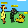 the birds