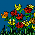 Humday's Tulip