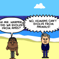 A.P.E. visits Harper &amp; Oba