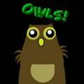 OWLS!