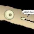 TotD: Get Your Egg On