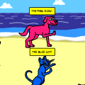 Coulourful Pets