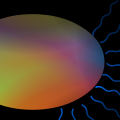 TotD: FLAGELLUM