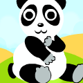 Panda Bear