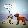 Puppy Love
