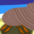 Hermit Crab