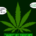 The Wisdom and Kindness of Bud
