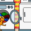 'Clean Kitteh'