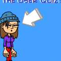 user quiz