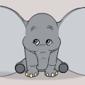 FLY DUMBO FLY