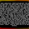 'EXCERPT 2'