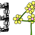 94