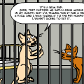 TotD: Capture