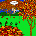 season mishaps
