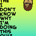 The I.D.K.W.I.D.T. Quiz.