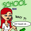 The School Quiz 