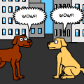 PETS