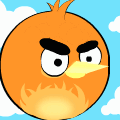 My Own Angry Bird