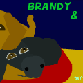 My Lovely Pets