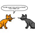 Cat's life