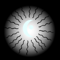 the moon
