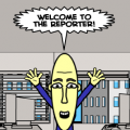 The Reporter