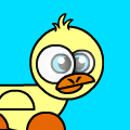 a duck!