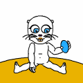 hamster randomness