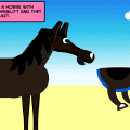 Why Horses are Better than Men