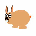 rabbit